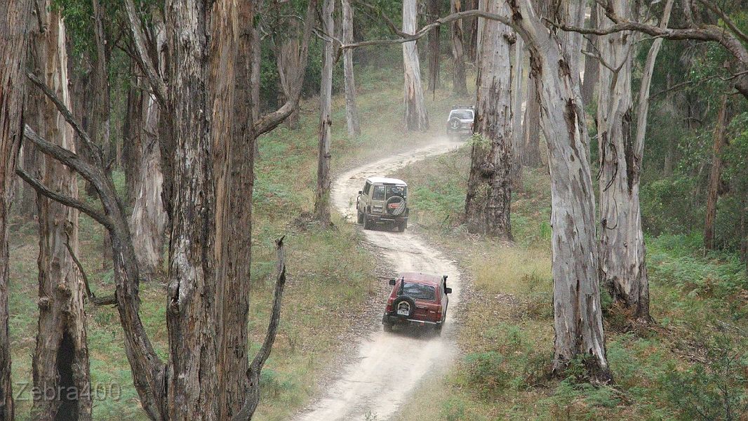 04-Goldie, Turtle & Big Red trek thru the Otways.jpg